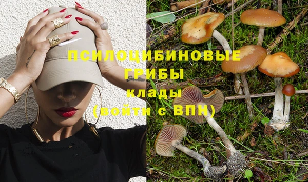 сатива Алзамай