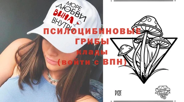 сатива Алзамай