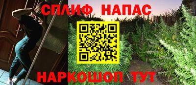 крисы Гусиноозёрск
