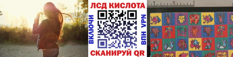 Наркотические марки 1,5мг  дарнет шоп  Камышлов 