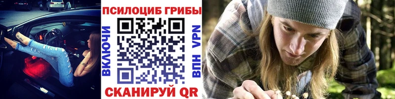 Псилоцибиновые грибы Cubensis  kraken ONION  Камышлов 