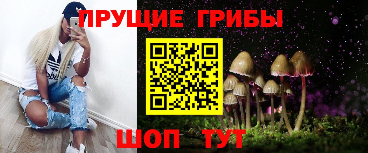 Псилоцибиновые грибы GOLDEN TEACHER Камышлов