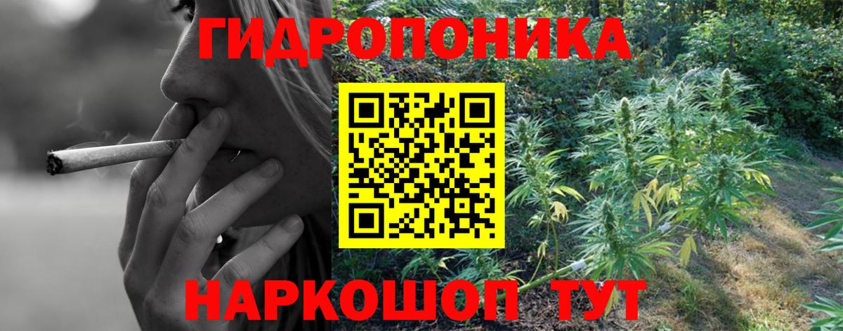 Канабис план Камышлов